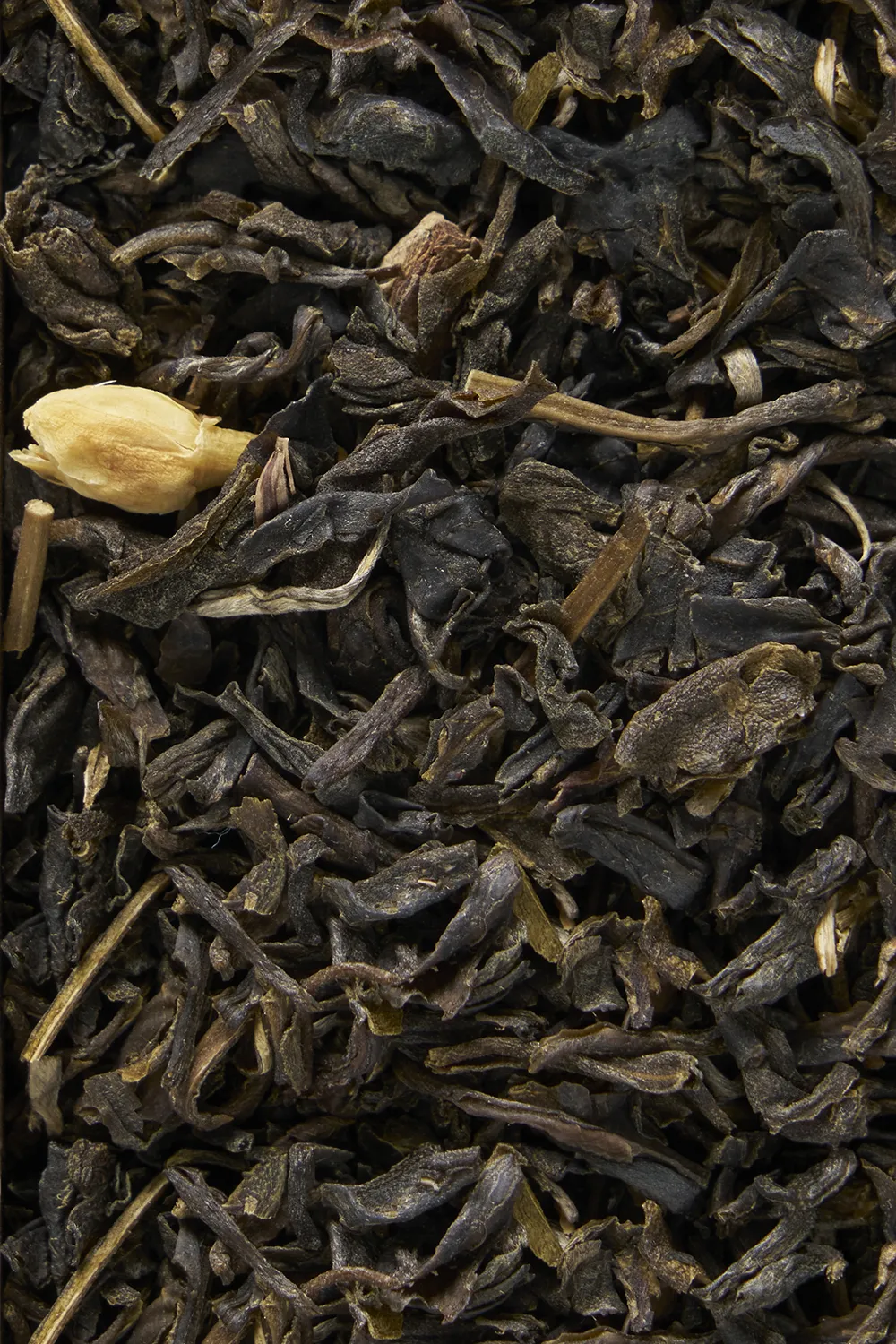 Jasmine Ban Lien
