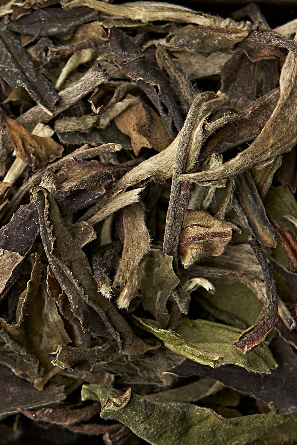 Pai Mu Tan - Immagine 2