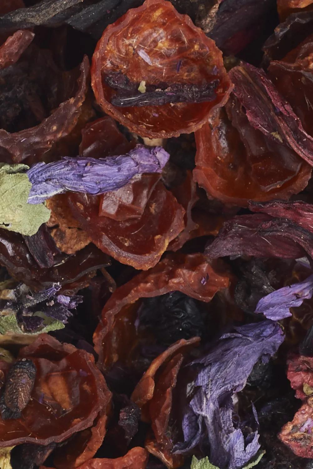 Rosa Canina E Mirtillo - Immagine 5