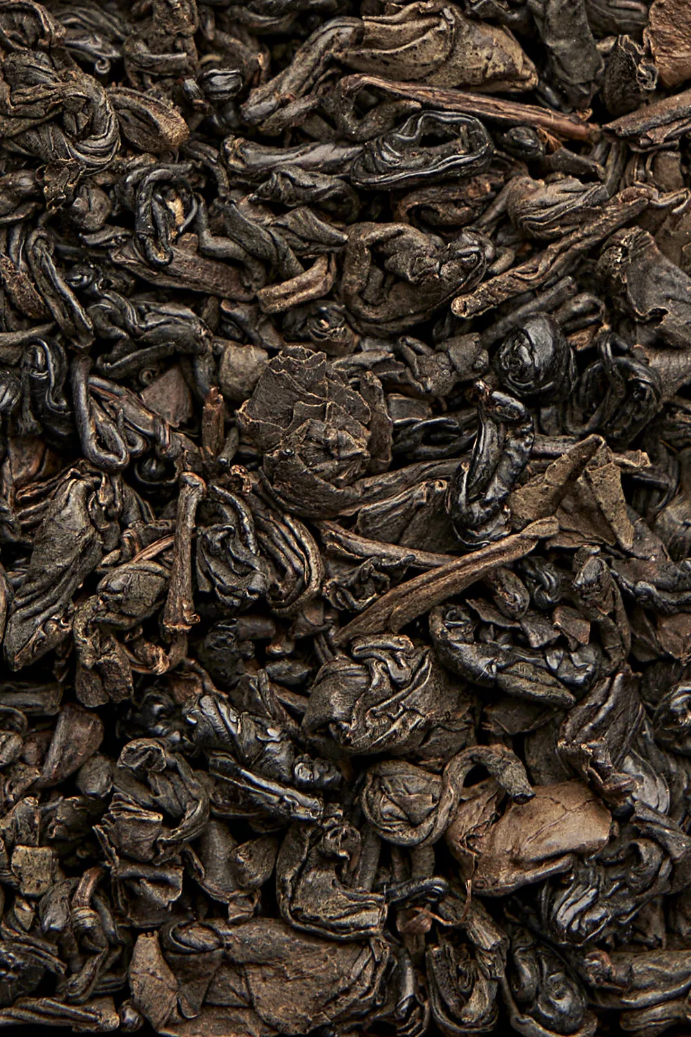 Black Gunpowder - Immagine 2