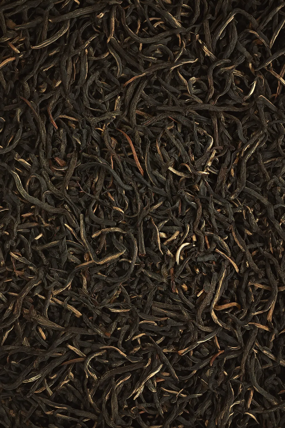 Ceylon Vithanakande - Immagine 2