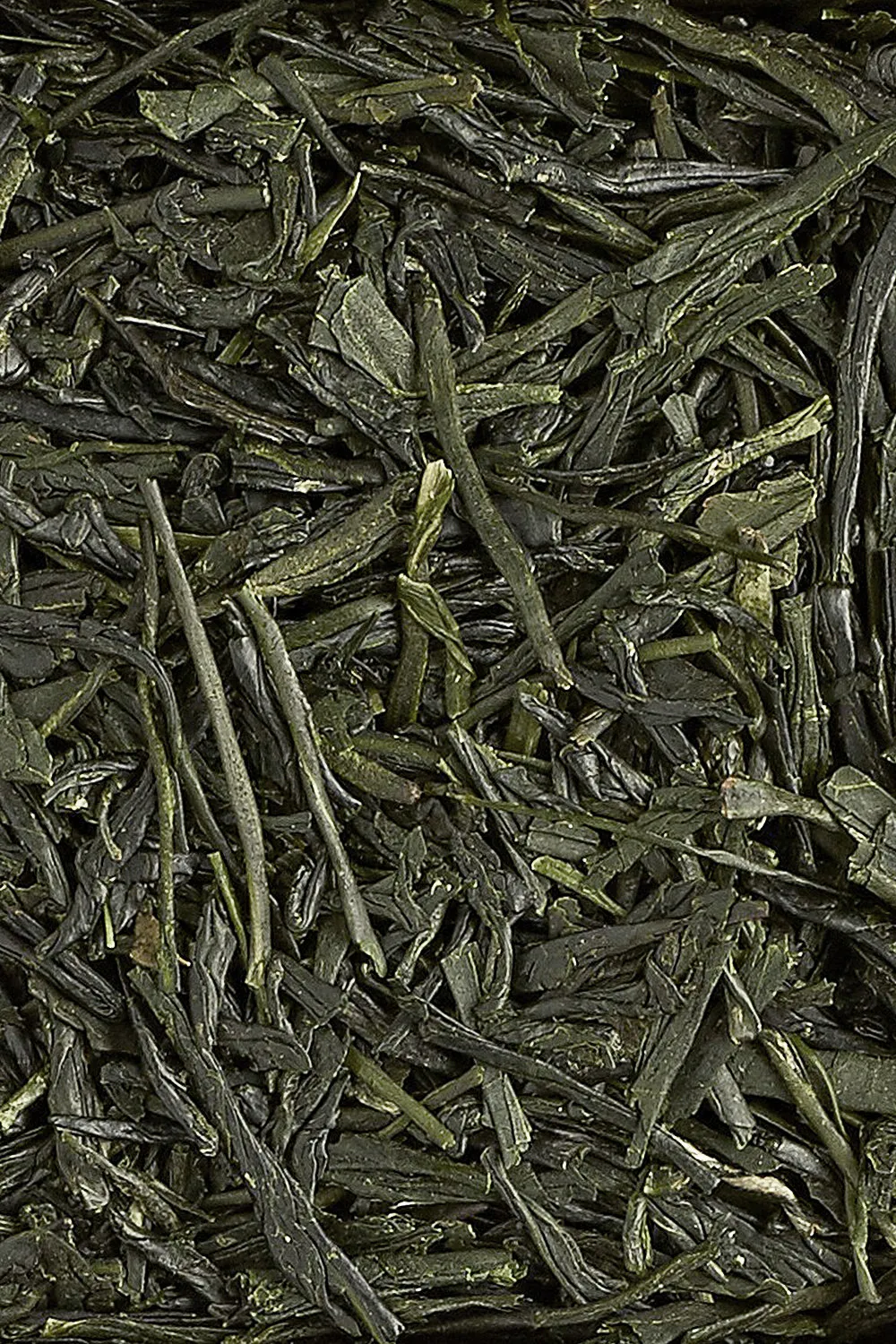 Gyokuro Takumi Bio - Immagine 2