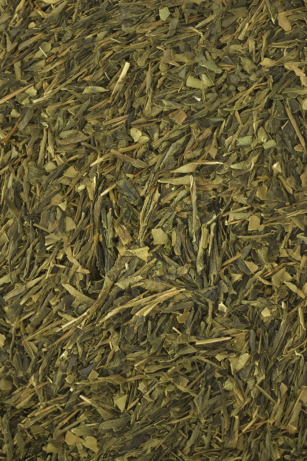 Bancha