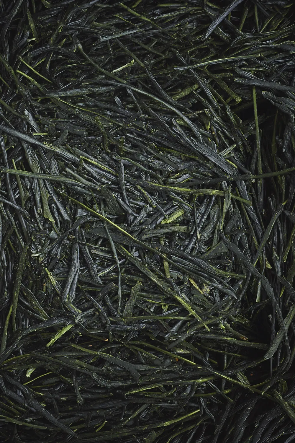 Shincha Homare Bio - Immagine 2