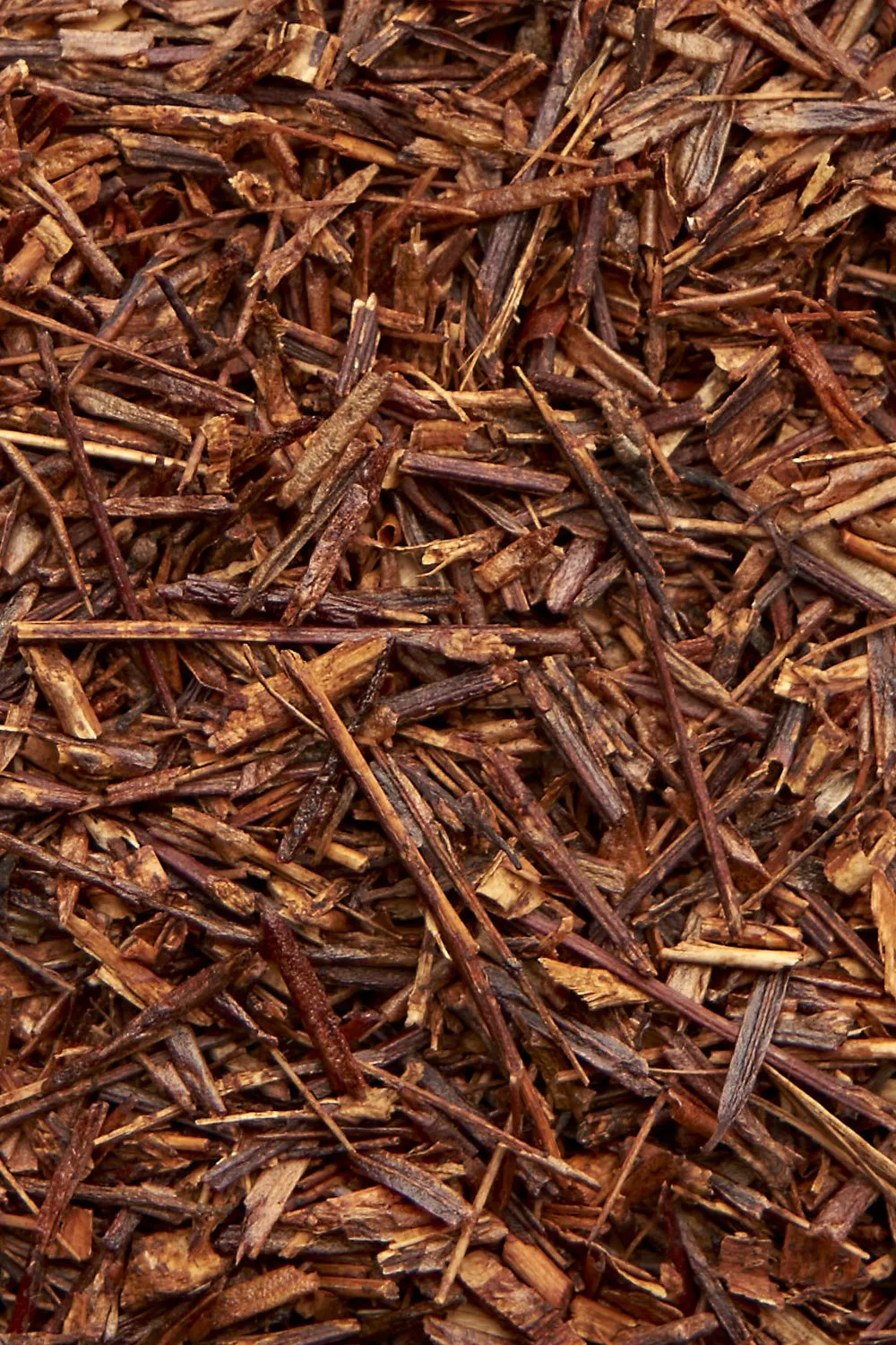 Rooibos - Immagine 2