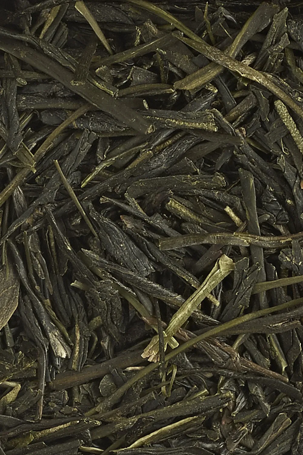 Sencha - Immagine 5