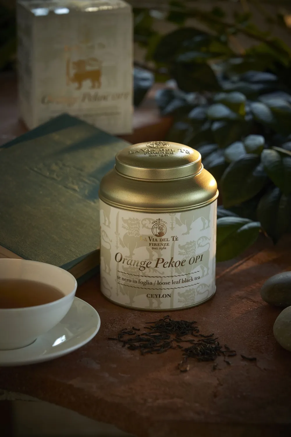 Orange Pekoe Op1 - Immagine 2