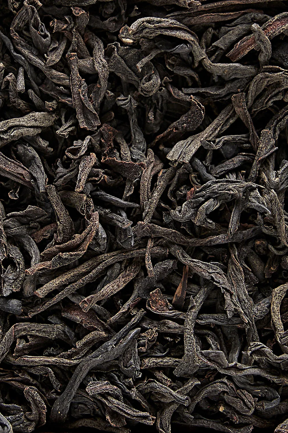 Orange Pekoe Op1 - Immagine 5