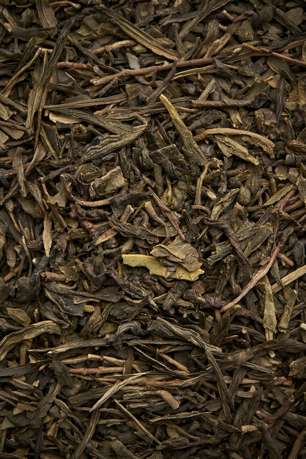 Special Jasmine - Immagine 2