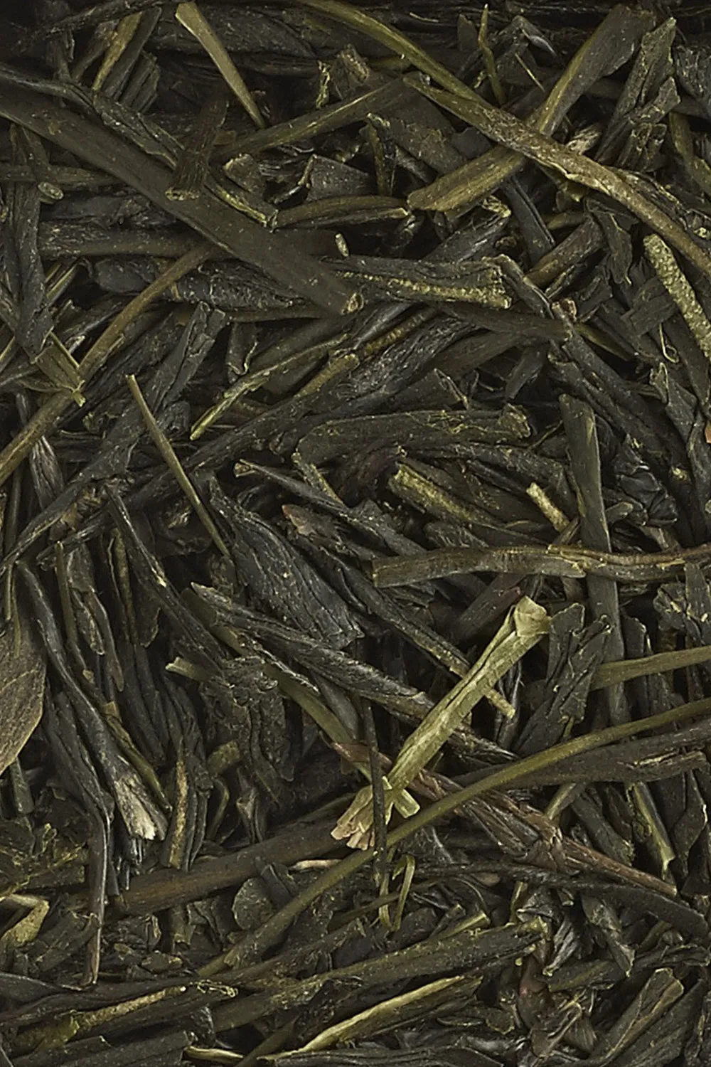 Sencha - Immagine 2