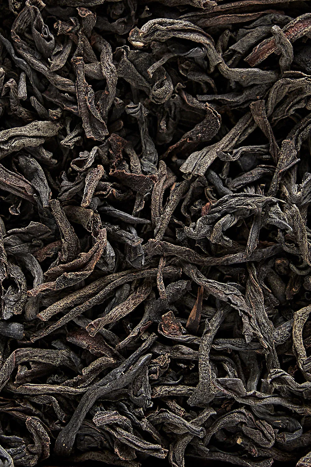 Orange Pekoe Op1 - Immagine 2