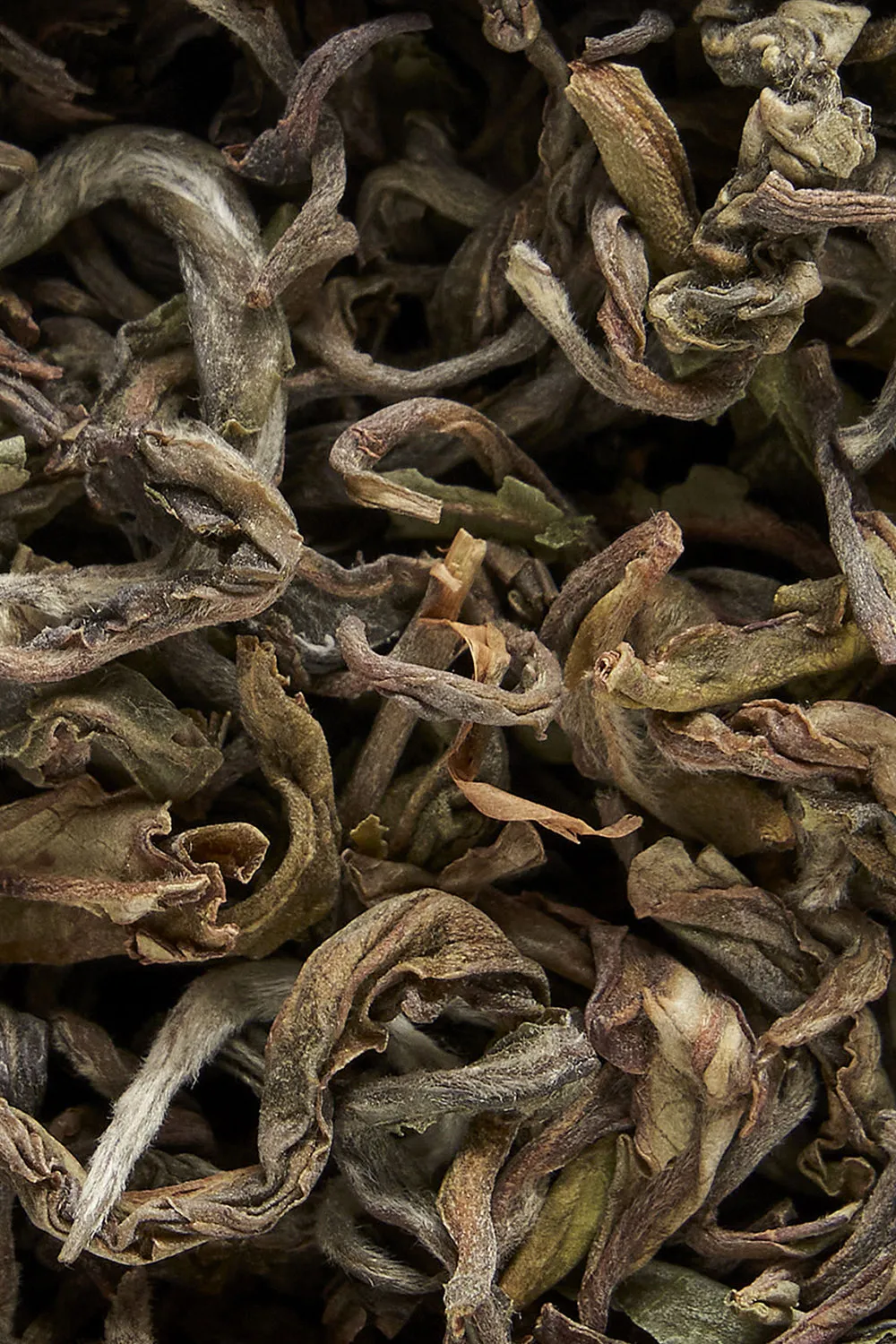 Nepal Floral Guranse - Immagine 2