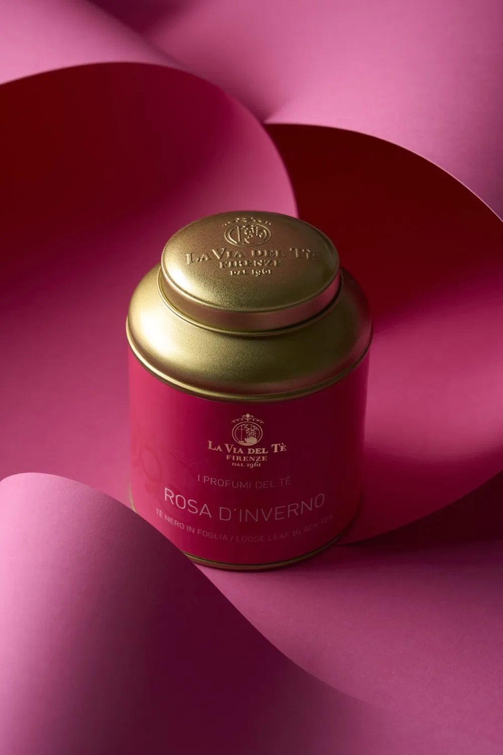 Rosa D'inverno - Immagine 2