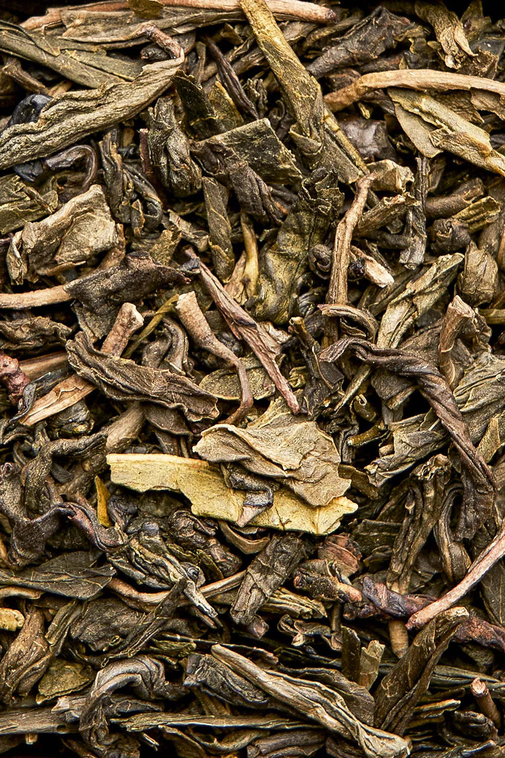 Bancha Fiorito - Immagine 5
