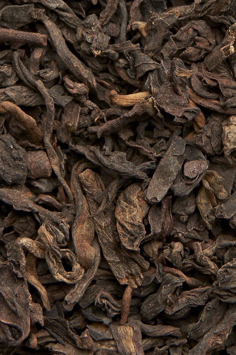 Jasmine Pu Erh - Immagine 2