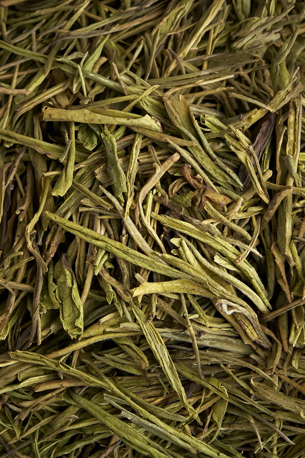 Anji Baicha White - Immagine 2