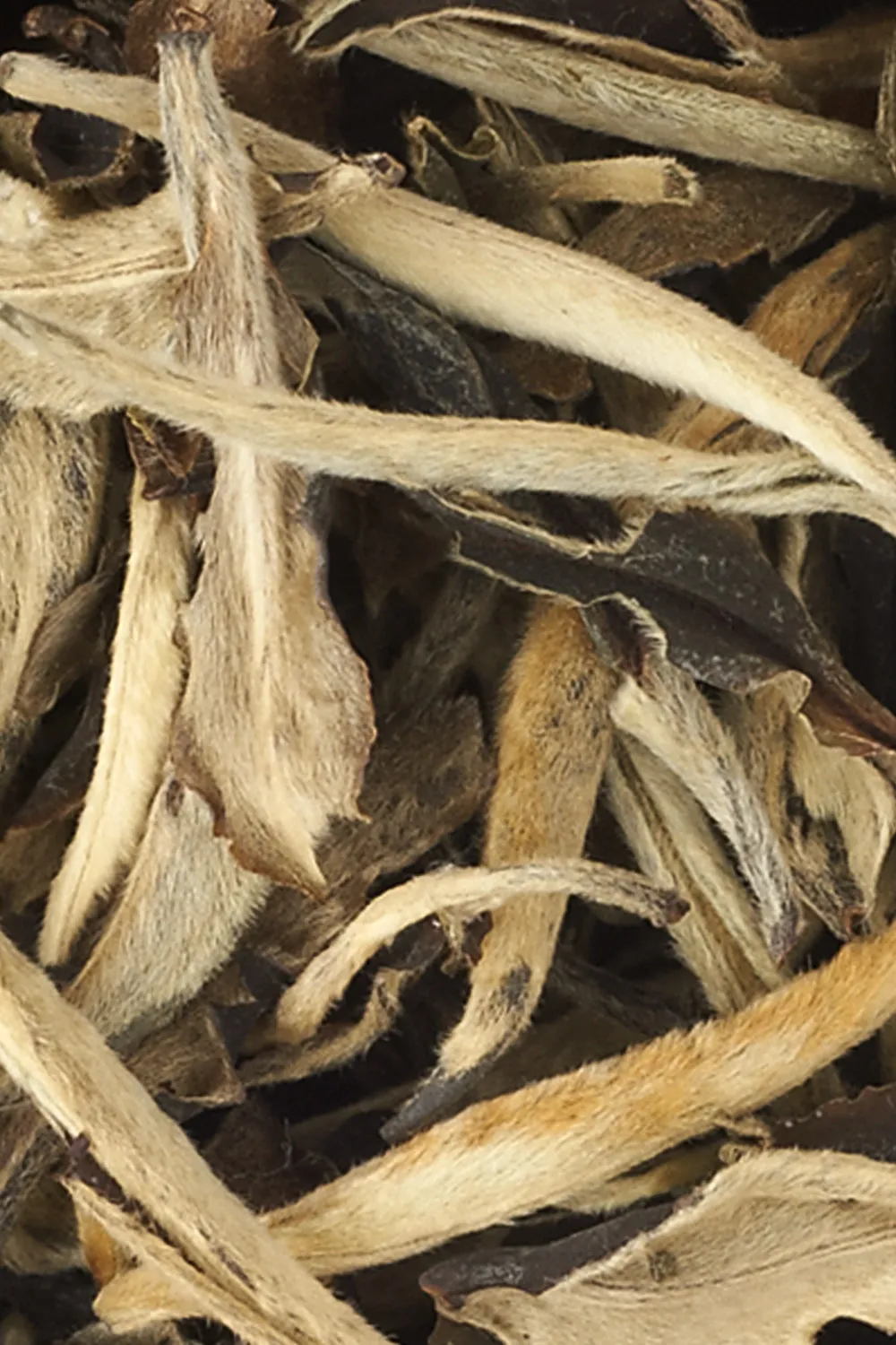 Moonlight White Tea - Immagine 2