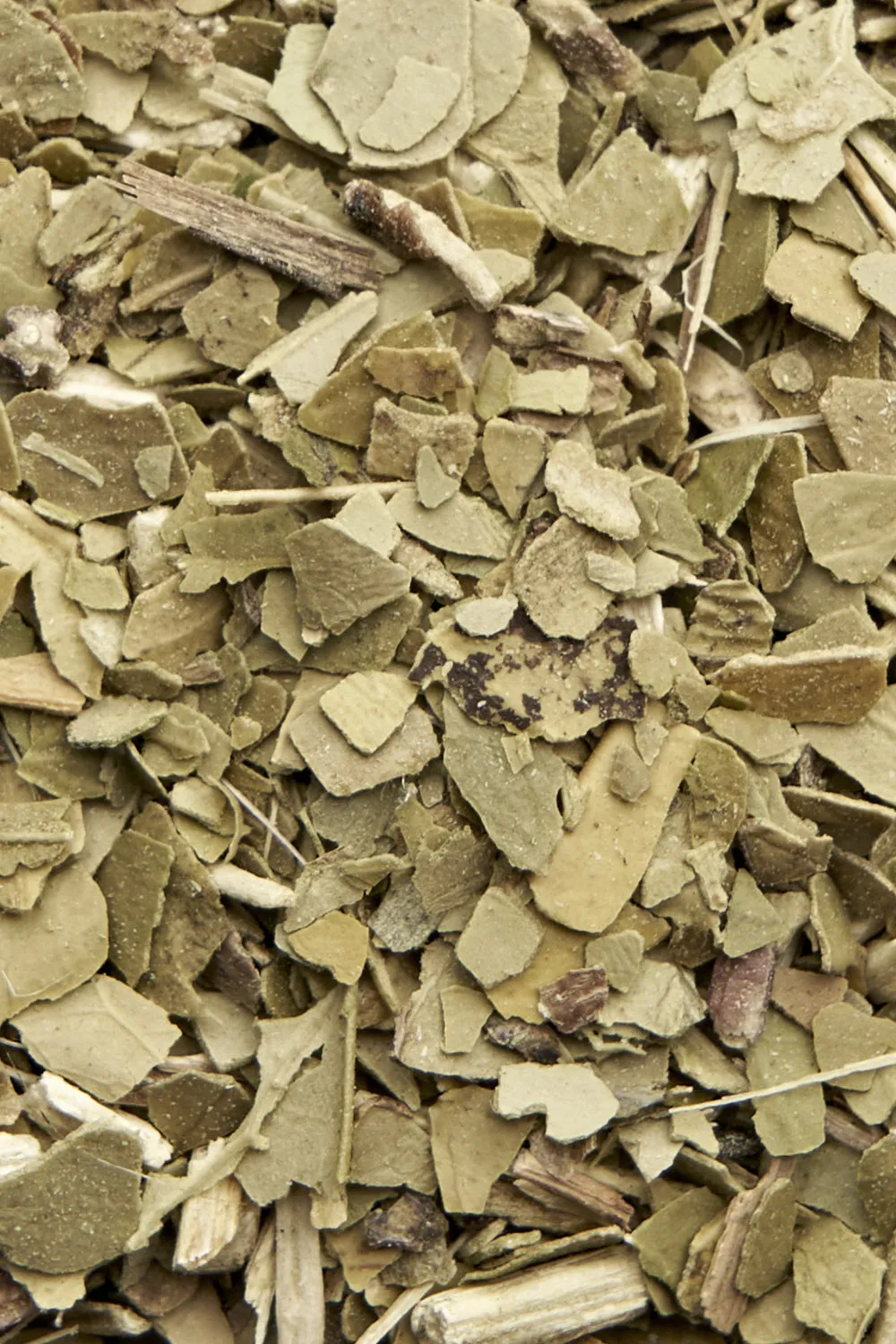 Yerba Mate - Immagine 2