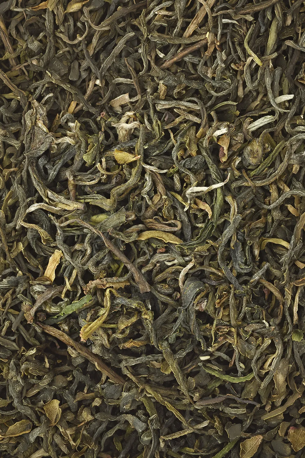 Pi Lo Chun - Immagine 2
