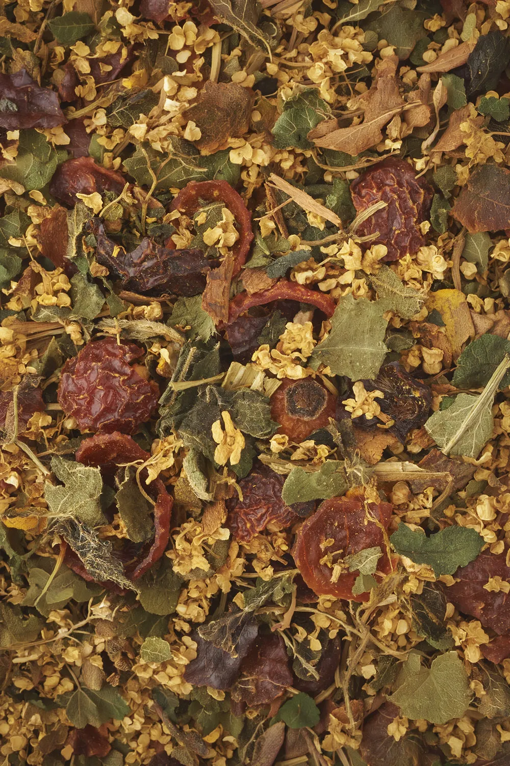 Curcuma & Fiori Di Sambuco - Immagine 2