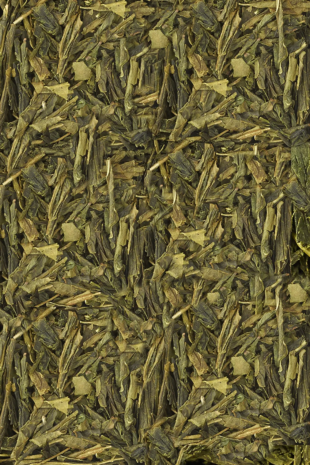 Organic Bancha