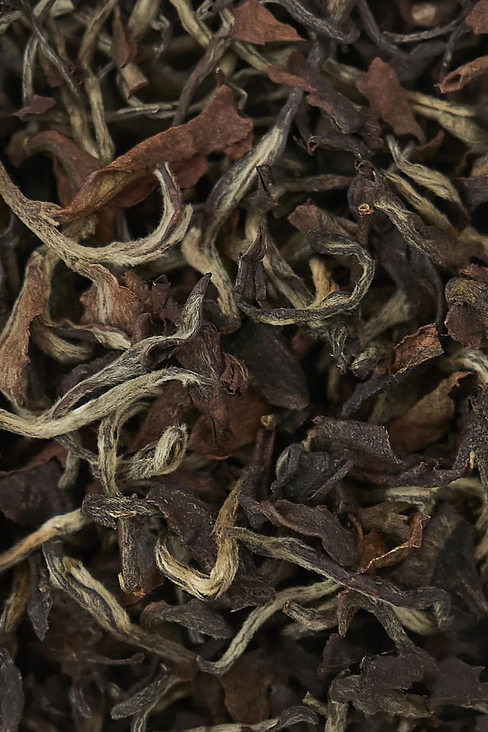 Bai Hao Oolong