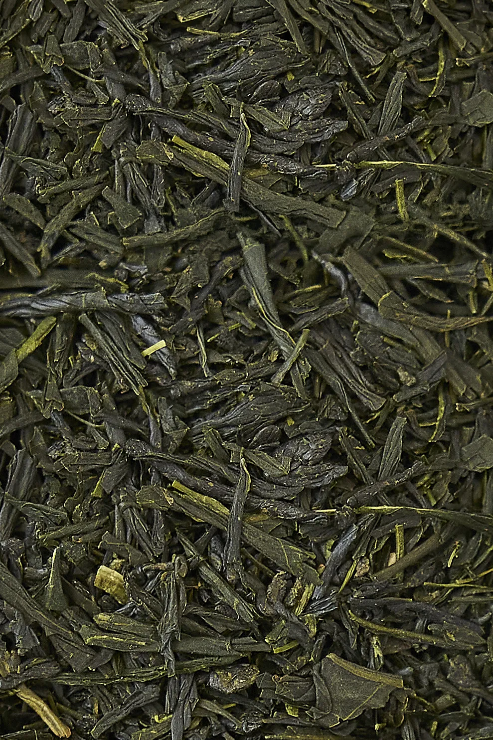 Kabusecha