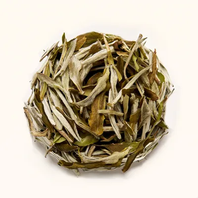 Note di degustazione