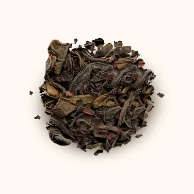Tasting Notes