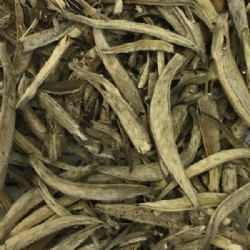 Tè bianco cinese foglia intera Yin Zhen Le Grandi Origini lattina da 50 grammi